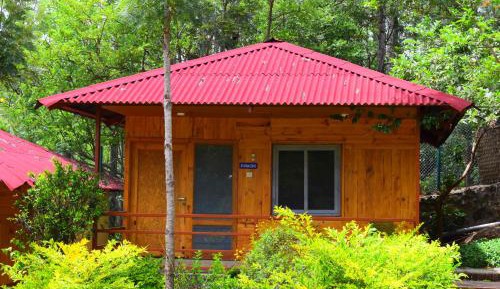 Premium Wooden Villa