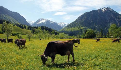 Apartment Agnes with Mountain View