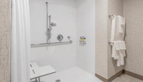 Suite - Mobility Access Roll in Shower/Non-Smoking