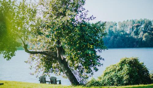 Family Room with Terrace