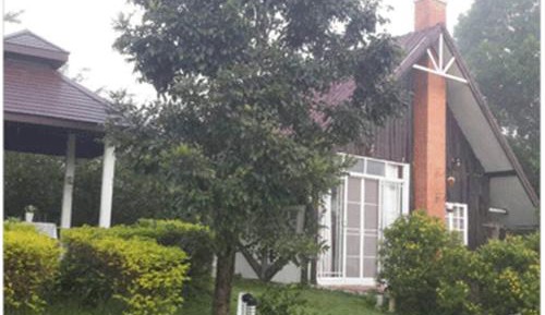 Quadruple Room with Garden View