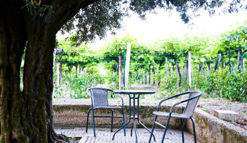 Apartment with Garden View