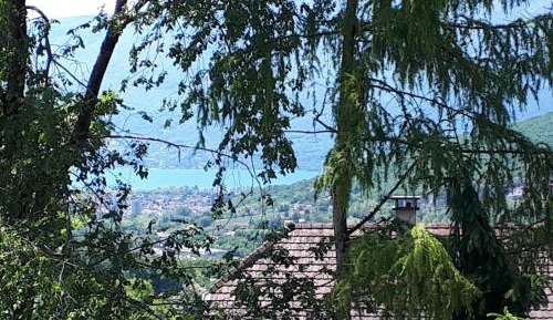 King Room with Pool View