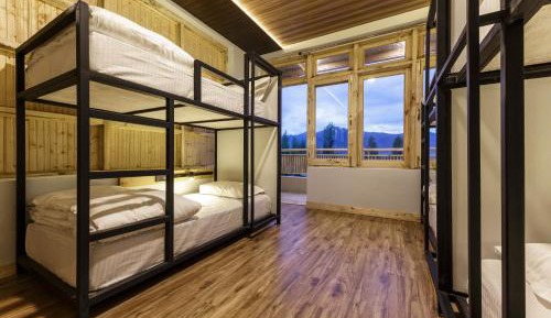 Bunk Bed in Female Dormitory Room  