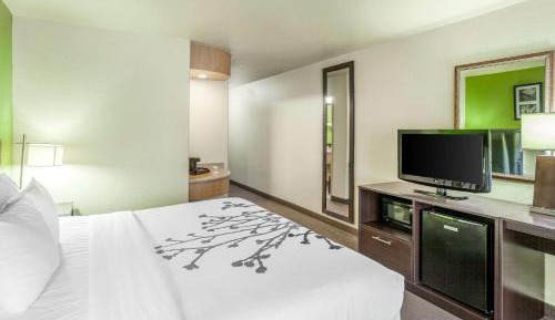 King Room - Non-Smoking