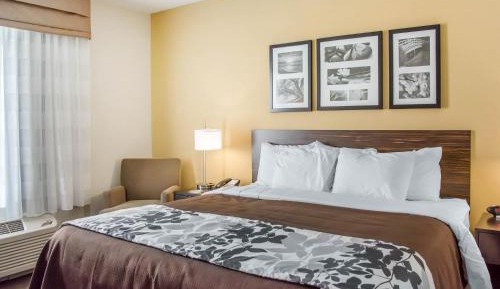 King Room - Accessible/Non-Smoking