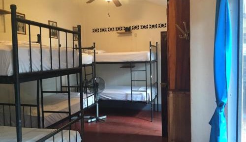 Bed in 8-Bed Mixed Dormitory Room