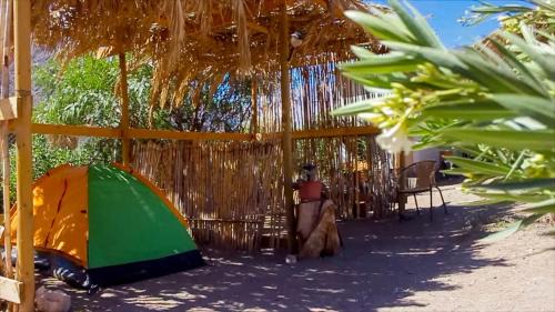 Camping