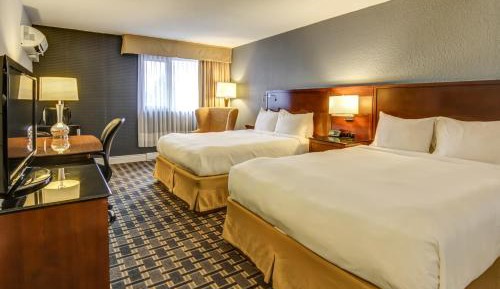 Standard Double Room with Two Double Beds