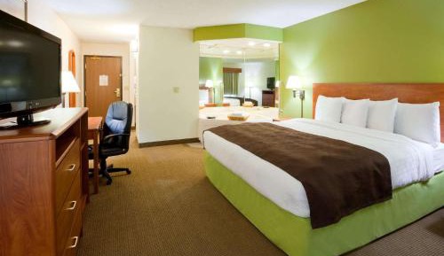 Studio Suite - Mobility Access/Non-Smoking