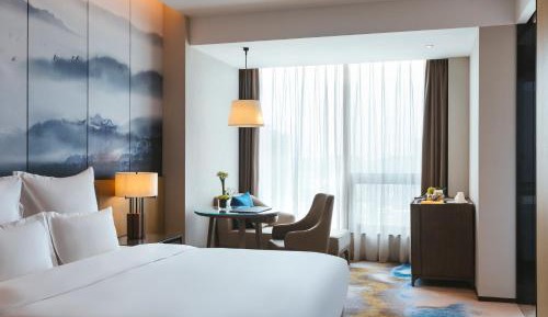 Superior King Room with City View