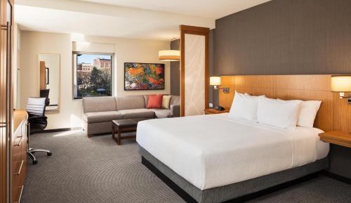 Specialty King Room with Sofa Bed