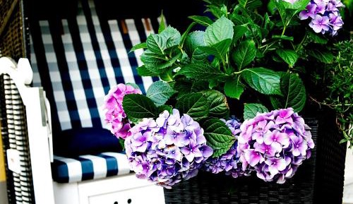 Family Room with Balcony