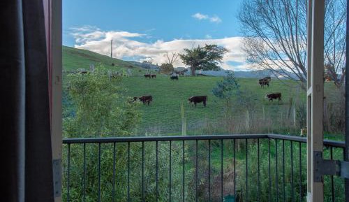 King Room with Sea View