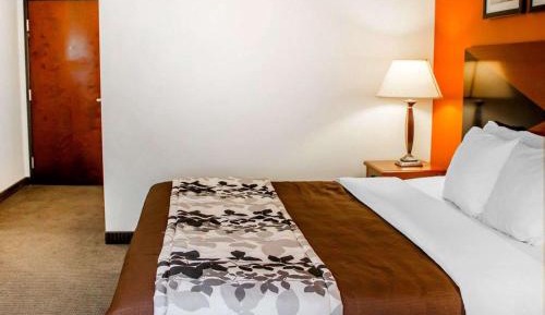 King Room - Non-Smoking