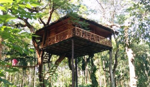 Tree House