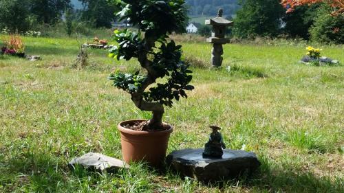Family Room with Garden View