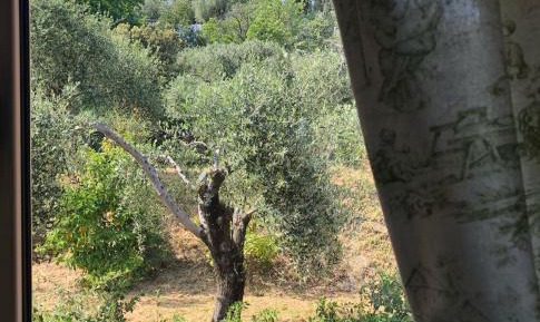 One-Bedroom Charming Studio with Garden View