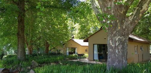 Double Room with Mountain View