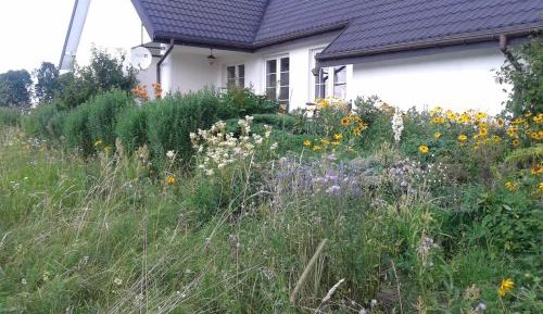 Family Room with Garden View