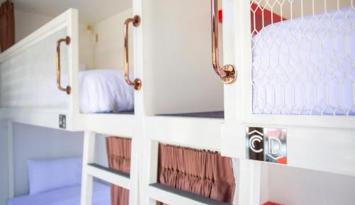 Bunk Bed in Female Dormitory Room  