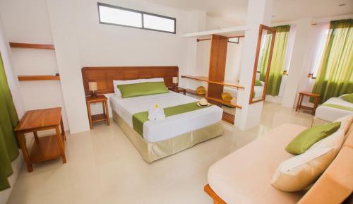 Double or Twin Room