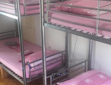 Bunk Bed in Mixed Dormitory Room