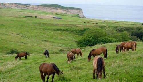 Double Room with Sea View