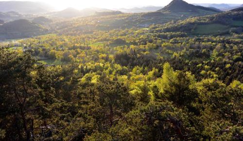 Double Room with Park View