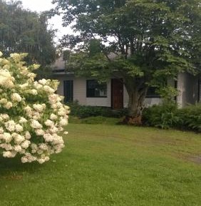 Apartment with Garden View