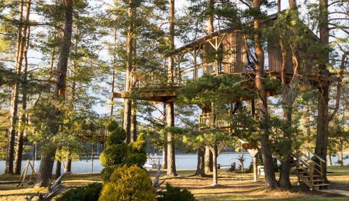 Comfort Tree House