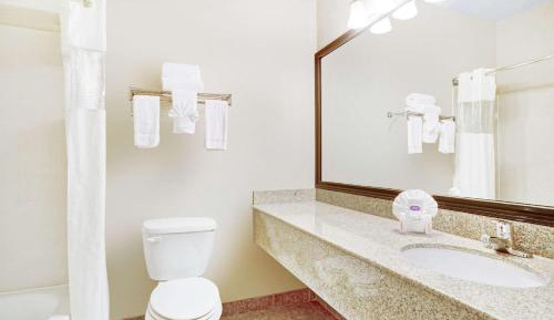 Studio Suite with a King Bed, Non-Smoking