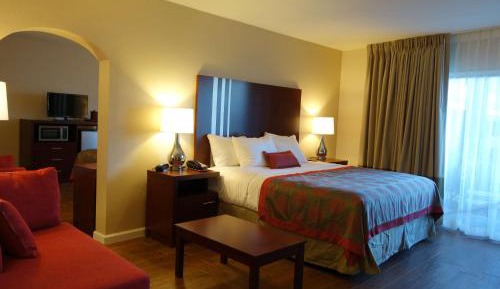 Deluxe King Suite - Non-Smoking