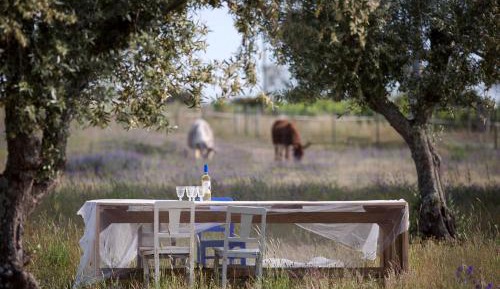 Standard Double Room with Fan