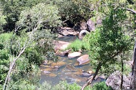 Dorrigo Cabin | Dorrigo Waterfall Cabins - Lyrebird Cabin