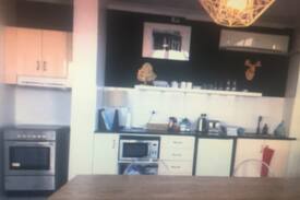 Newman Cabin | This is an open plan space