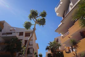 Punta Prima Apartment | Punta Prima 200m to beach & prom