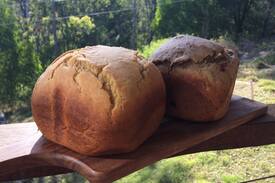 Canungra House | Pearl of Contentment Retreat- whole guest house