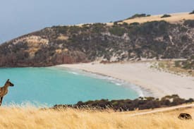 Duncan House | Snelling Beach Escape - sea views on 520 acre farm
