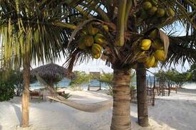 Bwejuu Beach Bed & Breakfast | Kilimani kwetu bungalows