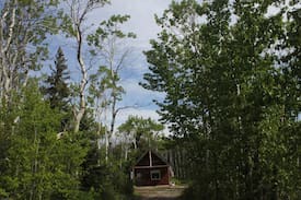 Babb Cabin | Quaking Aspen Hide Away