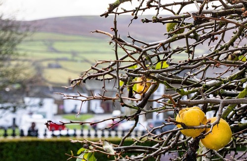 Reeth Hotel | The Burgoyne Hotel