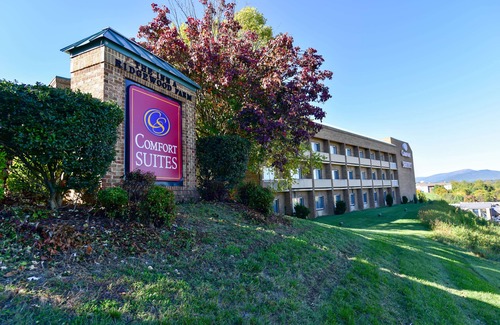 Salem Hotel | Comfort Suites Inn at Ridgewood Farm
