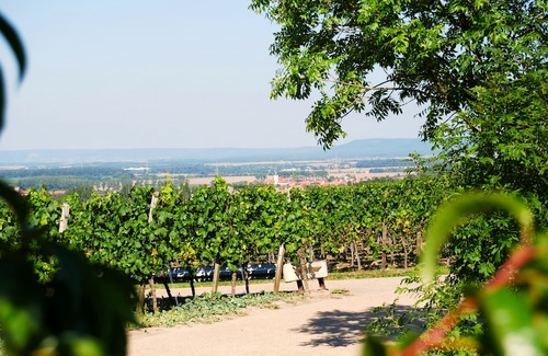 Wiesenbronn Hotel | Landhotel Und Weingasthof Schwarzer Adler