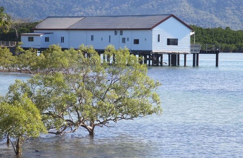 Port Douglas Hotel | Lazy Lizard Motor Inn