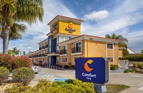 Castro Valley Hotel | Comfort Inn Castro Valley