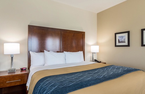 Mitchell Hotel | Comfort Inn Edwardsville - St. Louis