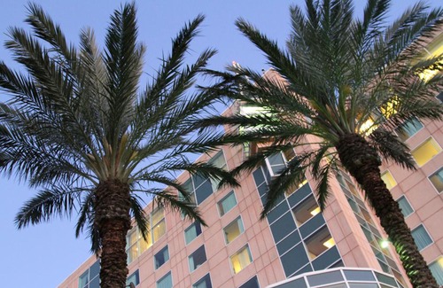 Galveston Hotel | Moody Gardens Hotel, Spa and Convention Center