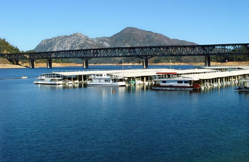 Mount Shasta Hotel | Best Western Plus Tree House