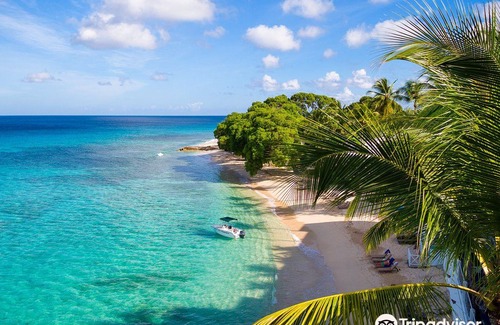 Prospect Hotel | Waves Hotel & Spa by Elegant Hotels - All Inclusive